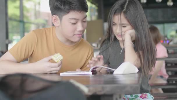 Çizgi Film Kitabı Ile Rahatlatıcı Asyalı Erkek Kız Sevimli Asya — Stok video