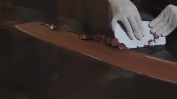 Choklad Markeringsrum Chokladproduktion Chokladfabrik — Stockvideo