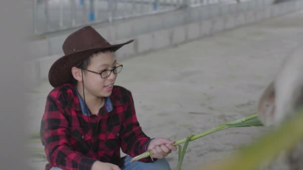 牛の農場で若い農民の肖像 — ストック動画