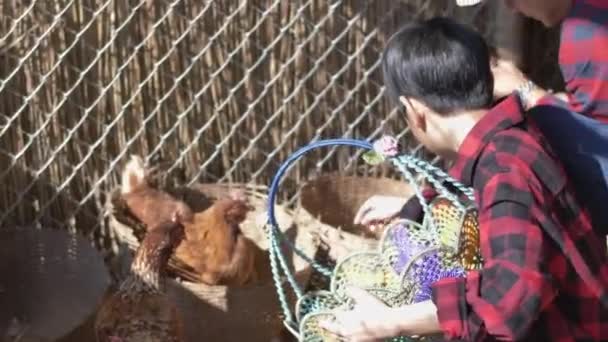 Asiático Pai Ensina Filho Trabalhar Uma Fazenda Galinhas — Vídeo de Stock