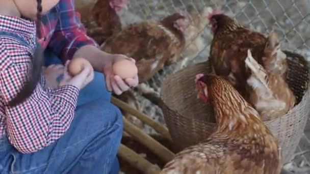 Pequeña Chica Asiática Trabajando Una Granja Gallinas — Vídeos de Stock