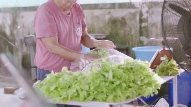 Asyalı yaşlı adam arka bahçedeki çiftlikten toplanan sebzeleri hazırlıyor. Müşterilere göndermek için, Yavaş Hareket.