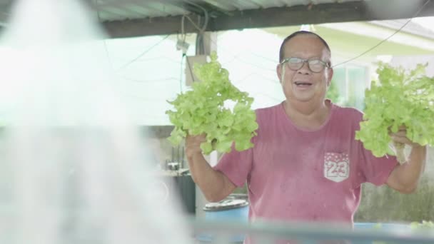 Happy Asian Oude Man Het Bereiden Van Salade Groenten Verzameld — Stockvideo