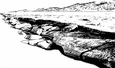 Sanatsal ve dekoratif bir şekilde siyah ve beyaz optik manzaralı güzel bir manzara.