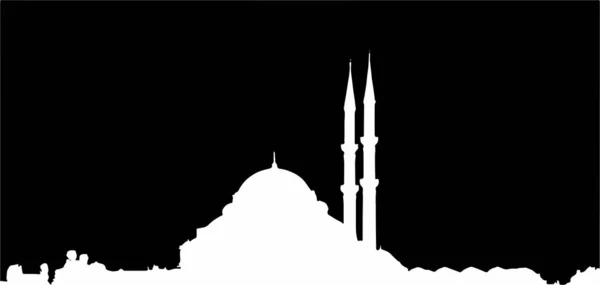 Kunstzinnig Sierlijk Beeld Van Een Moskee Zwart Wit Kleur Optiek — Stockfoto
