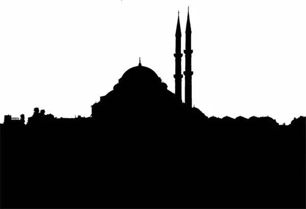 Художньо Елегантне Зображення Мечеті Чорно Білому Кольорі Оптики — стокове фото