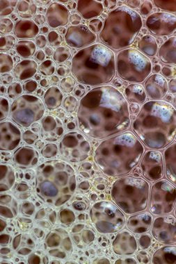 Su ve yağ karışımındaki hava kabarcıkları sanatsal ve hayal gücü ile tasarlanmış soyut bir zemin oluşturur.