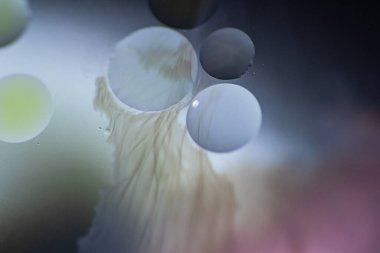 Sudaki yağ damlaları ve süt sanatsal ve hayal gücü açısından soyut bir zemin oluşturur.