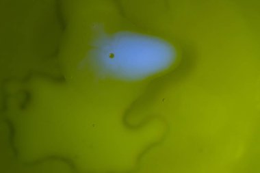 Sudaki yağ damlaları ve süt sanatsal ve hayal gücü açısından soyut bir zemin oluşturur.