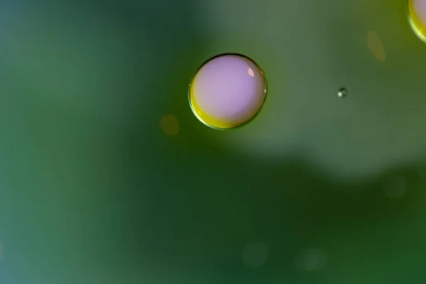 Масляні Краплі Воді Молоці Створюють Художній Уявно Оформлений Абстрактний Фон Ліцензійні Стокові Фото