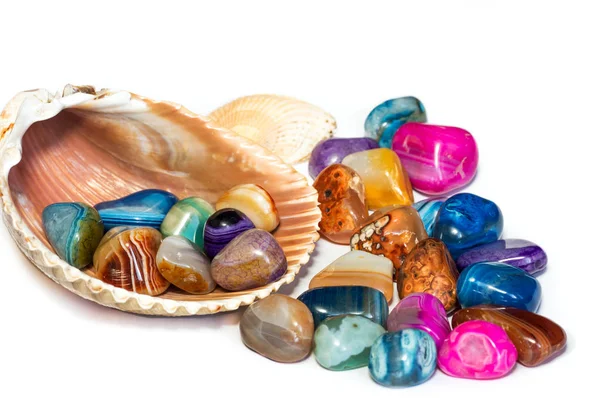 Beyaz arka plan üzerinde seashell ile şerit içinde yarı değerli çok renkli akik taş