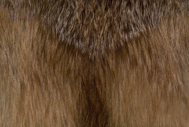 Şık ve lüks Kızıl tilki kürk