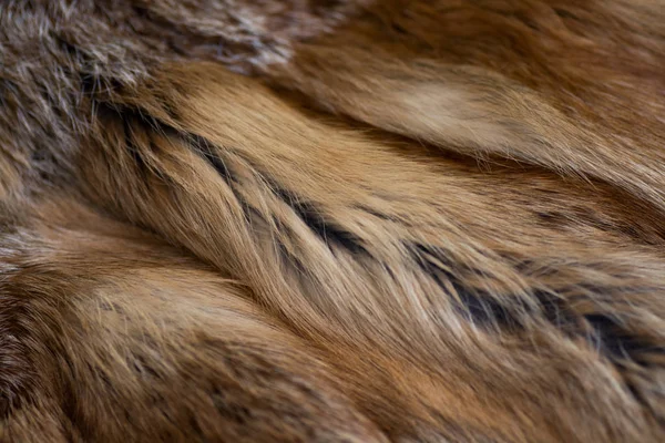 优雅豪华的红狐毛皮 — 图库照片