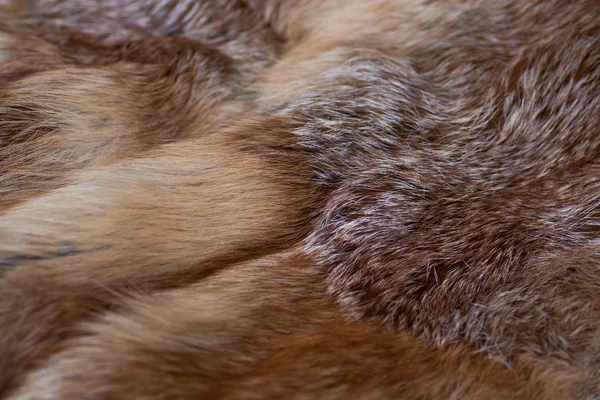 Classy Luxurious Red Fox Fur — Stock Photo, Image
