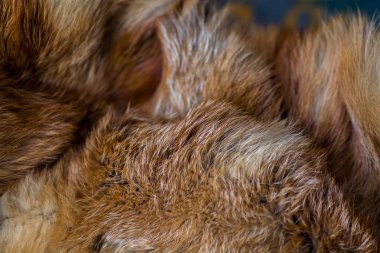 Şık ve lüks Kızıl tilki kürk