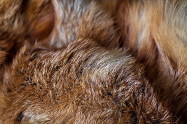 Şık ve lüks Kızıl tilki kürk