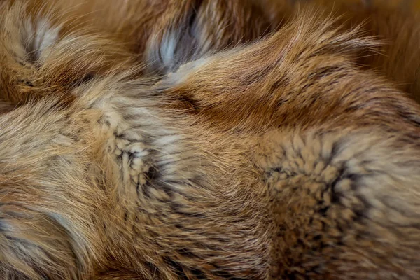 Şık ve lüks Kızıl tilki kürk