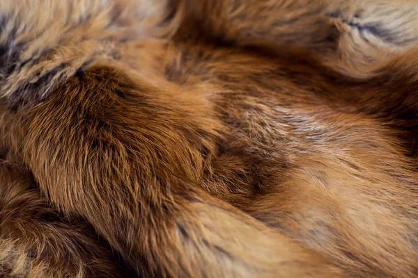 Classy Luxurious Red Fox Fur — Stock Photo, Image