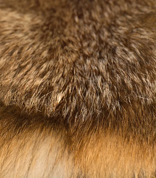 Αριστοκρατικό Και Πολυτελές Κόκκινης Αλεπούς Γούνας — Φωτογραφία Αρχείου