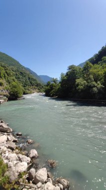 Ormandaki dağ nehri