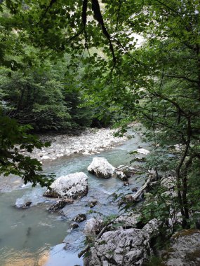 Dağ nehrinde taşlar