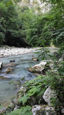 Dağ nehrinde taşlar