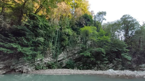 Ormandaki Dağ Nehri — Stok fotoğraf