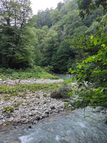 Sungai Pegunungan Hutan — Stok Foto