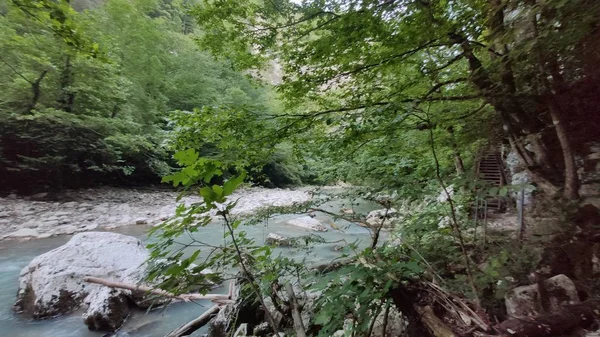 森林中的山河 — 图库照片