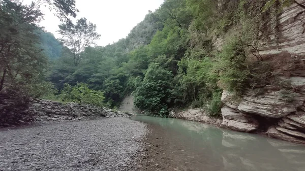 Ormandaki Dağ Nehri — Stok fotoğraf