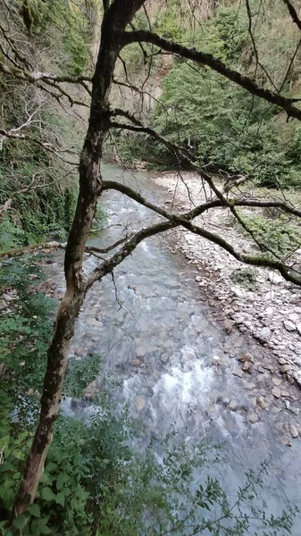 Rio Montanha Floresta — Fotografia de Stock