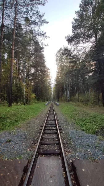 Železnice Podzimním Lese — Stock fotografie