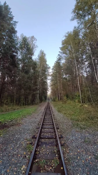 Railway Autumn Forest — Stock Photo, Image