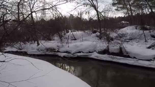 Winter Landschap Met Rivier Bomen Winter — Stockvideo