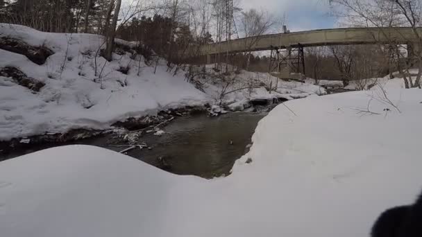 Winter Landschap Met Rivier Bomen Winter — Stockvideo