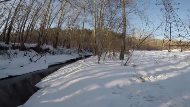 Winter Landschap Met Rivier Bomen Winter — Stockvideo