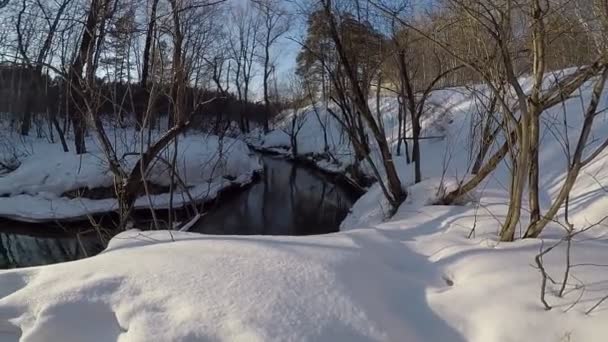 Winter Landschap Met Rivier Bomen Winter — Stockvideo