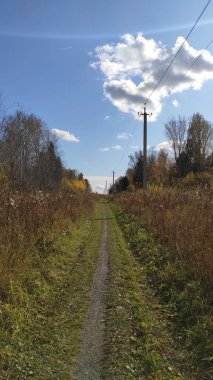 Sonbahara giden uzun yol