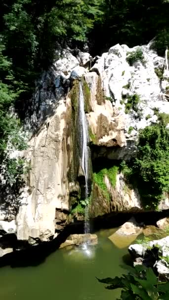 Cachoeira Floresta — Vídeo de Stock