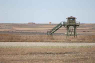 Gallocanta Gölündeki Doğal Rezerv 'deki kuşları görmek için gözlemevi..