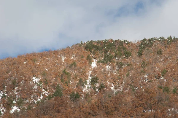 Foresta in autunno in una riserva nazionale nei Pirenei. — Foto Stock