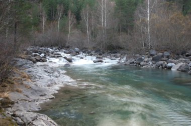 Huesca Pirenesi 'ndeki Ara Nehri.