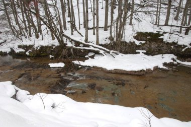 Ordesa 'daki Arazas Nehri ve Monte Perdido Ulusal Parkı.