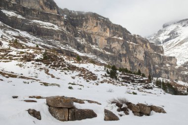 Ordesa ve Monte Perdido Ulusal Parkı 'ndaki Ordesa Vadisi.