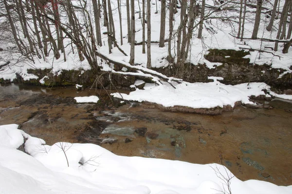 Ordesa 'daki Arazas Nehri ve Monte Perdido Ulusal Parkı.