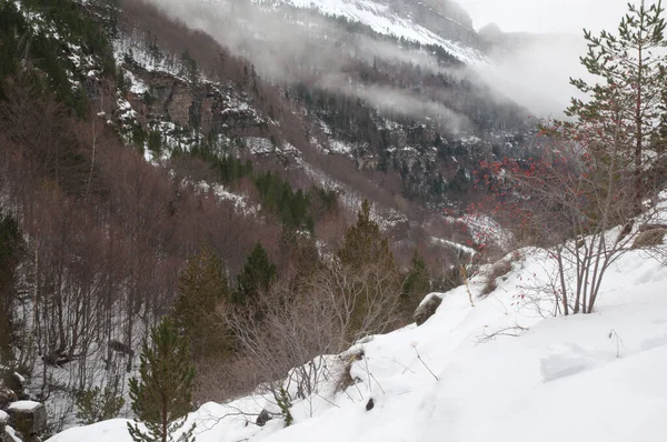 Κοιλάδα Ordesa στο Εθνικό Πάρκο Ordesa και Monte Perdido. — Φωτογραφία Αρχείου