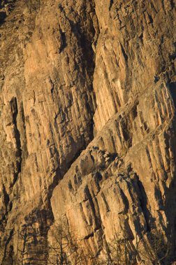 Integral Doğal Rezervi 'nde Morro de Pajonales.