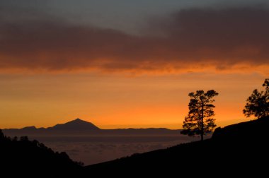 Tenerife Adası, gün batımında Teide Zirvesi ile Büyük Kanarya 'dan.