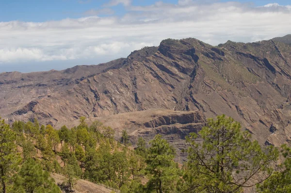 Integral Natural Reserve of Inagua, Mesa del Junquillo and Tamadaba Natural Park.