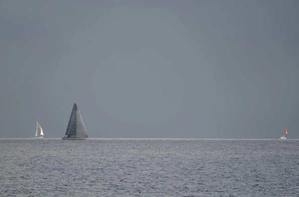 Corsa transatlantica dall'isola di Gran Canaria. — Foto Stock